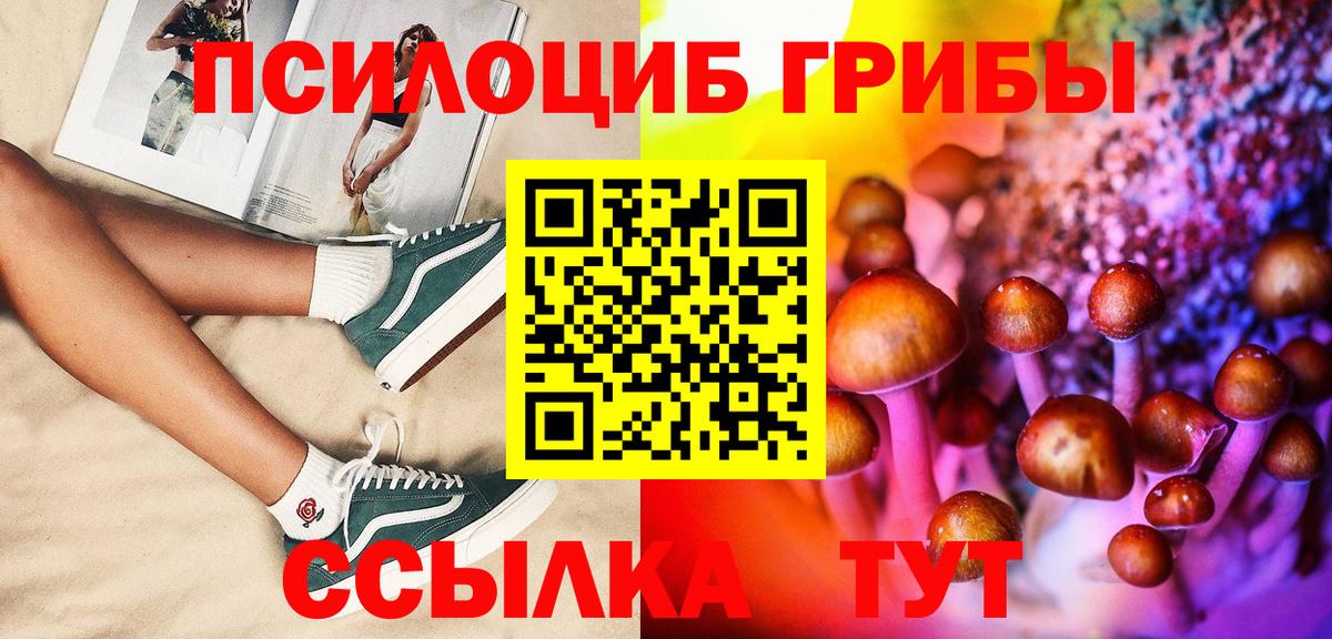 Псилоцибиновые грибы мицелий  Галлюциногенные грибы Psilocybine cubensis  Вход с VPN  Чапаевск 